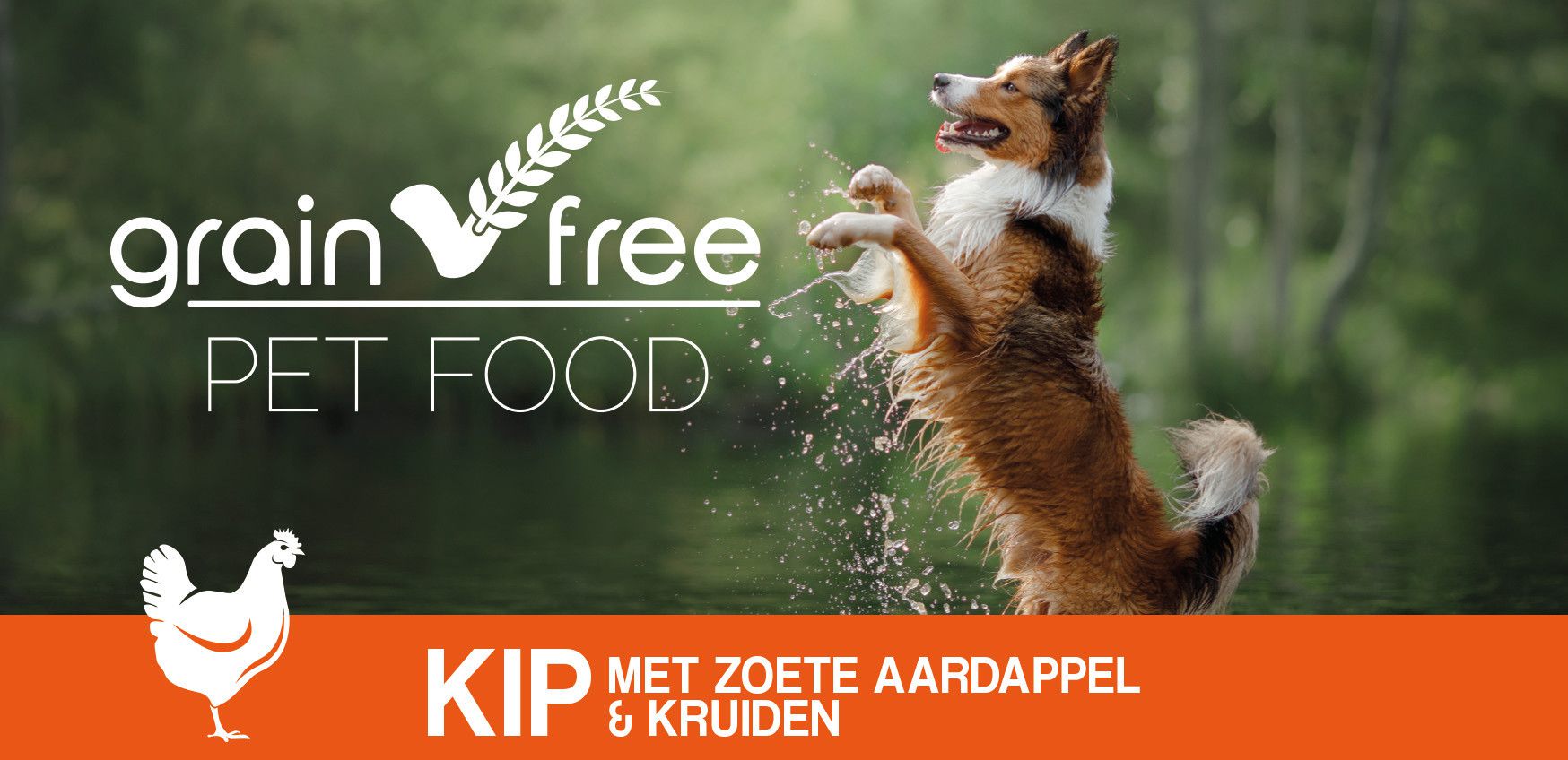 Grain Free Petfood Graanvrije hondenvoeding Kip met Zoete Aardappel & Kruiden Volwassen hond